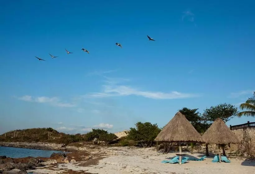 Hotel Tucan Siho Playa