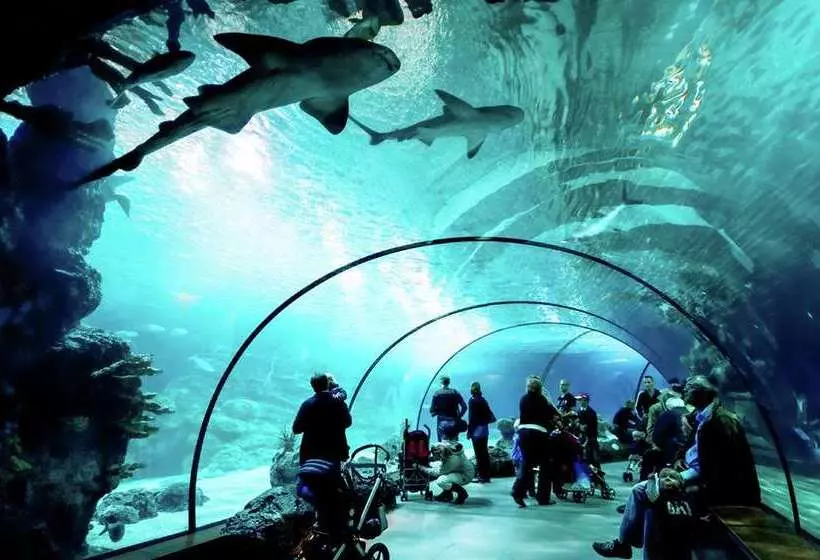 Hotel Hilton Rotterdam