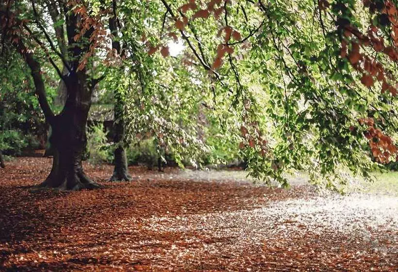 Hotel Hilton Rotterdam