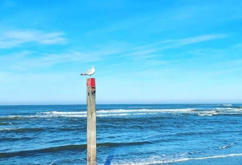 Отель Zeerust Texel