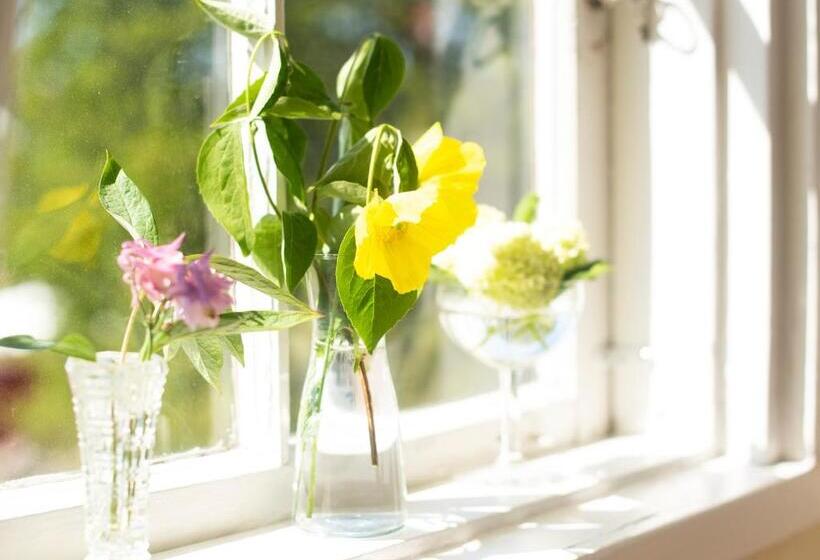 هتل Hälleviks Havsbad