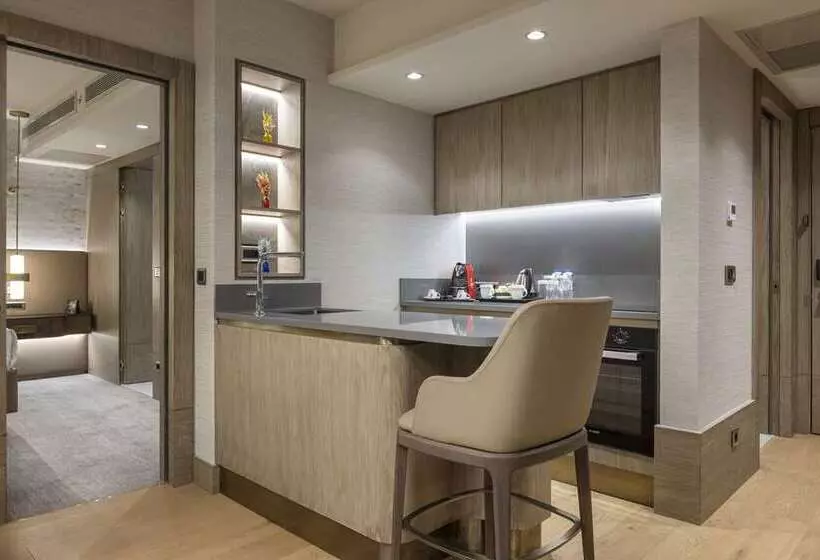 هتل Ankara Hiltonsa