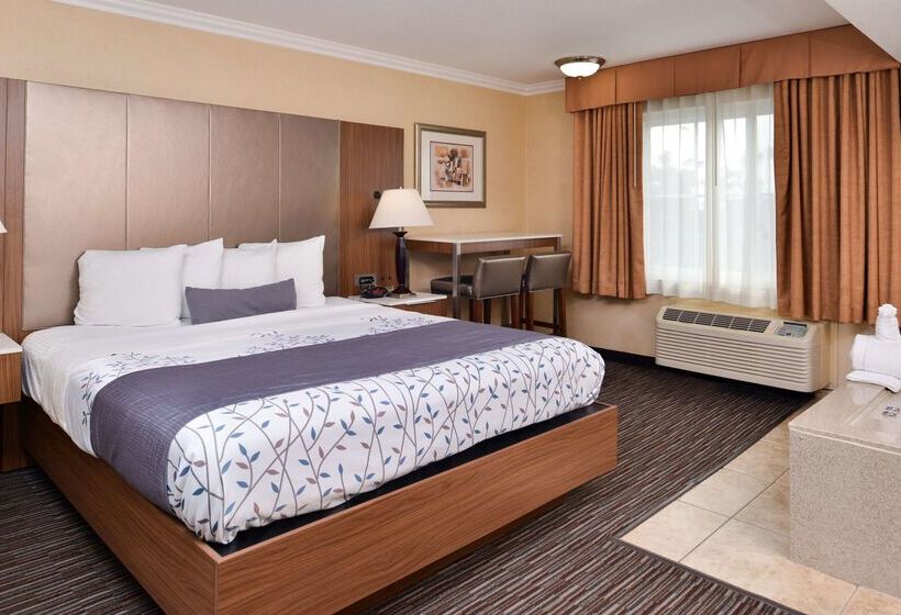 Best Western Airpark Hotel   Los Angeles Lax Airport