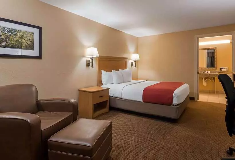 호텔 Surestay Plus By Best Western Covington