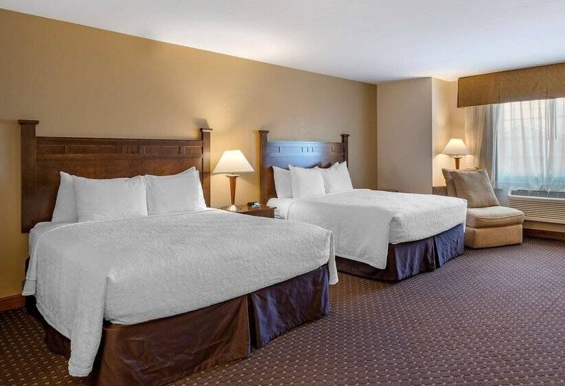 בית מלון כפרי Best Western Desert Inn