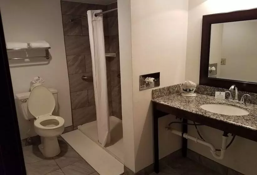 Best Western Innsuites Tucson Foothills Hotel & Suites