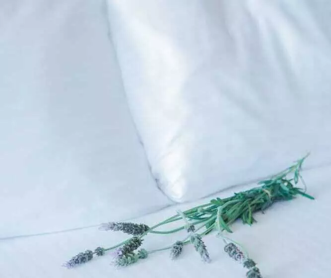 Отель Casa Ojai Inn