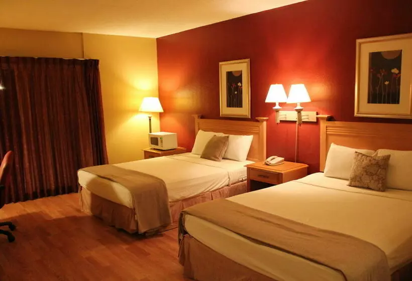 ホテル Executive Inn & Suites Of Tucson