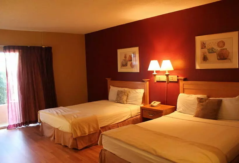 ホテル Executive Inn & Suites Of Tucson