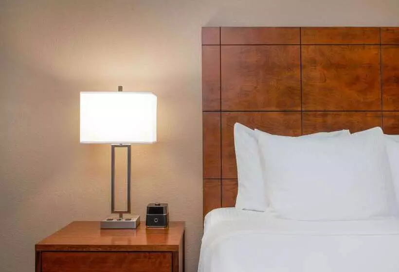 בית מלון כפרי La Quinta By Wyndham Clearwater Central