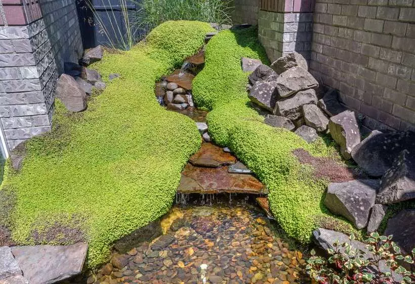 Lincoln Sands Oceanfront Resort, Ascend Hotel Collection