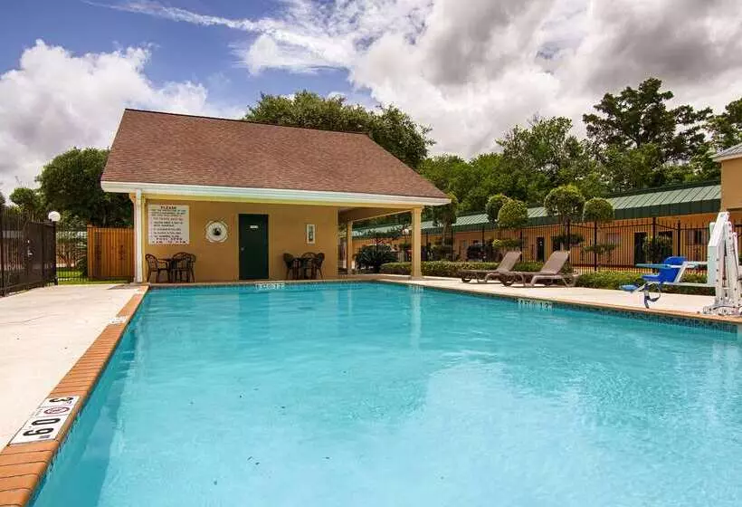 汽车旅馆 Best Western Forest Inn