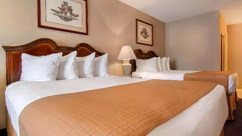 汽车旅馆 Best Western Forest Inn