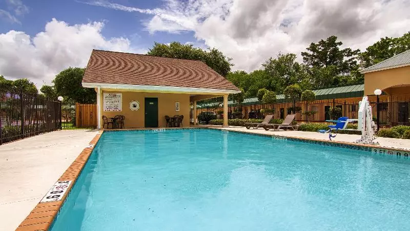 汽车旅馆 Best Western Forest Inn