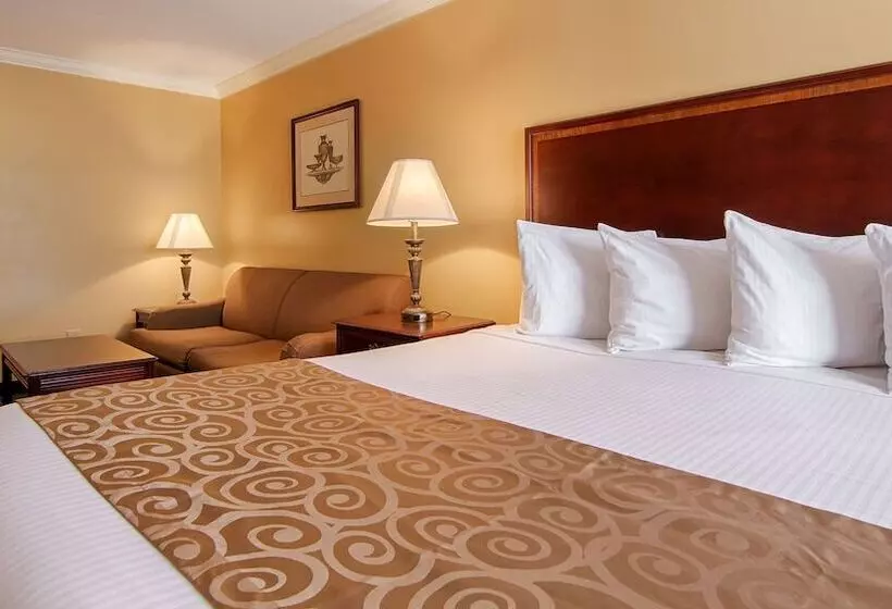 汽车旅馆 Best Western Forest Inn