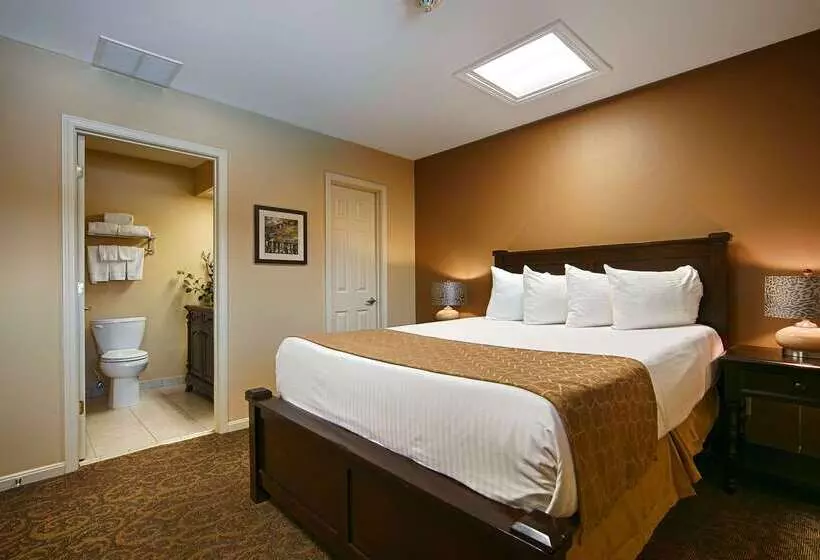 酒店 Best Western Shelbyville Lodge