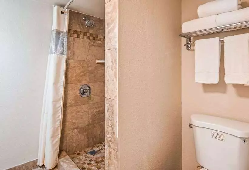 호텔 Best Western Town House Lodge