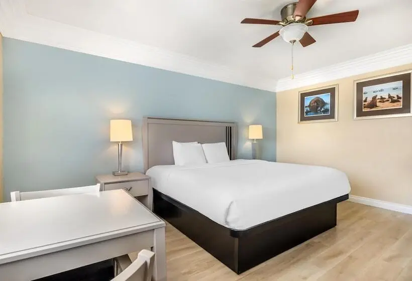 Hotelli Best Western Tradewinds