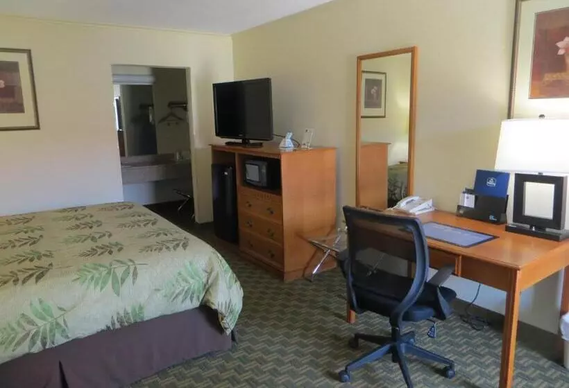 酒店 Red Coach Inn