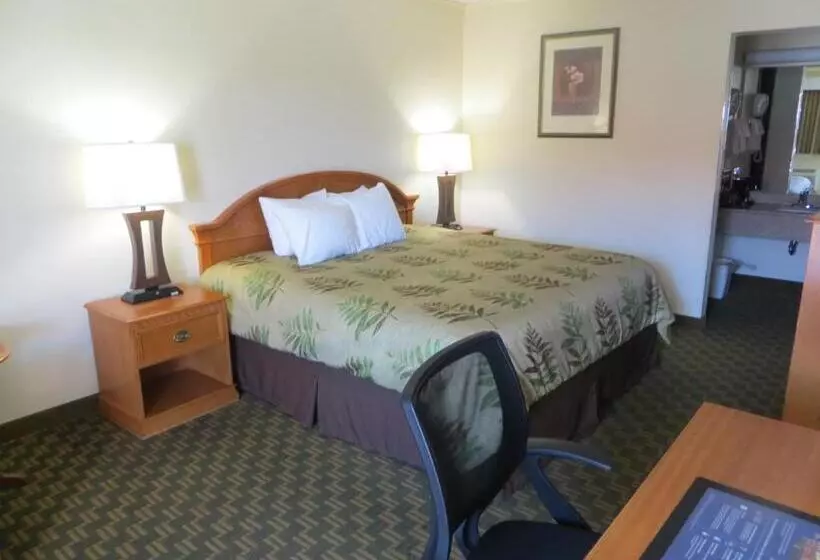 酒店 Red Coach Inn