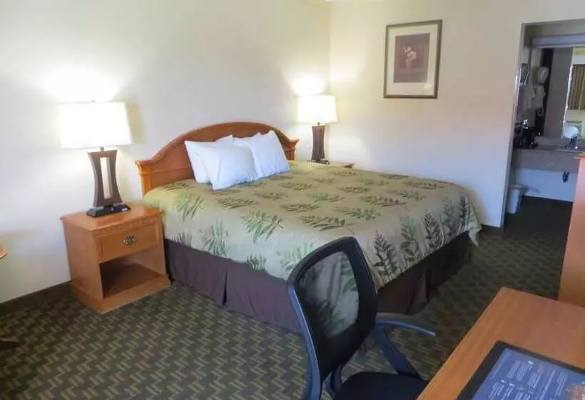 酒店 Red Coach Inn