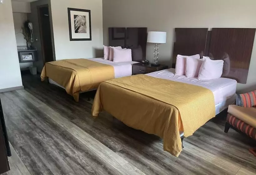 ホテル Royal Inn & Suites