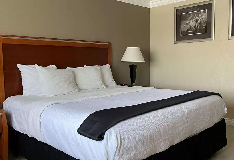 Мотель Best Western Tradewinds