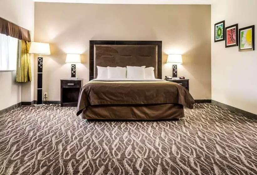 ホテル Comfort Inn Downtown Charleston