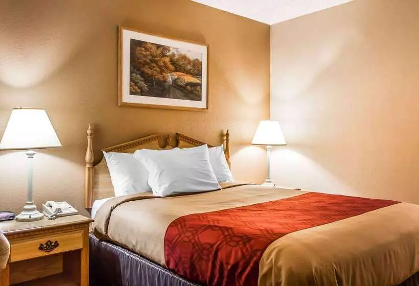 ホテル Econo Lodge Inn & Suites University