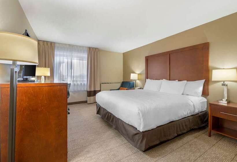 هتل Comfort Inn & Suites North At The Pyramids