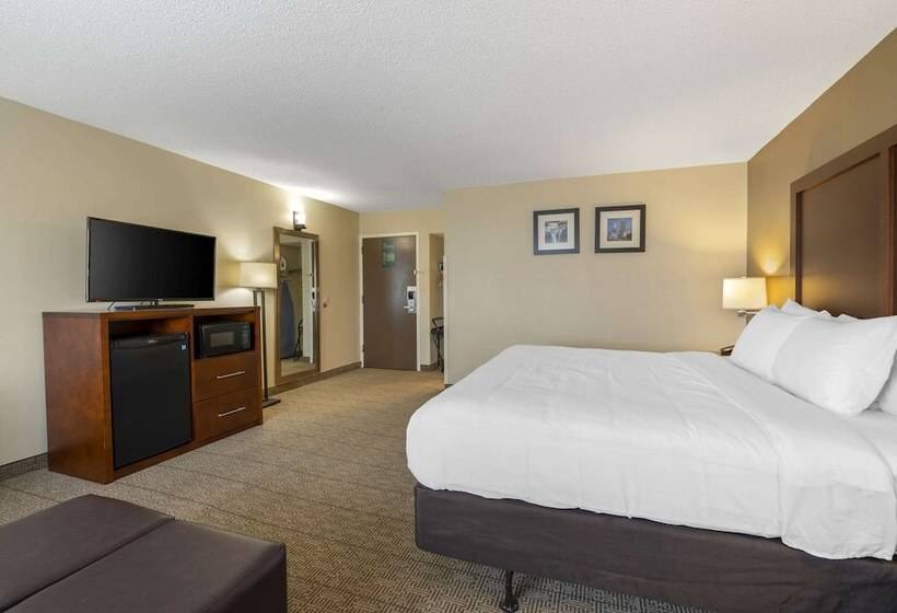 هتل Comfort Inn & Suites North At The Pyramids