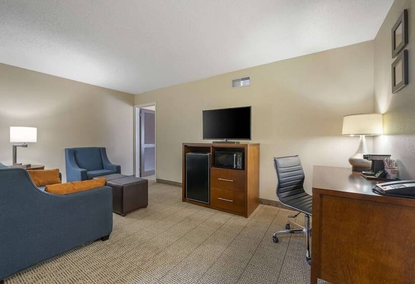 هتل Comfort Inn & Suites North At The Pyramids