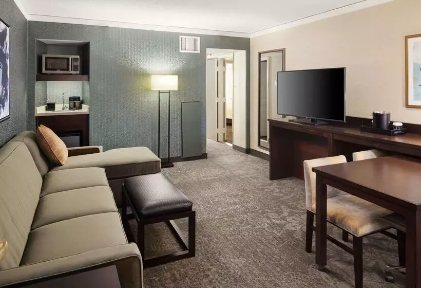 Hotel Embassy Suites By Hilton Tysons Corner