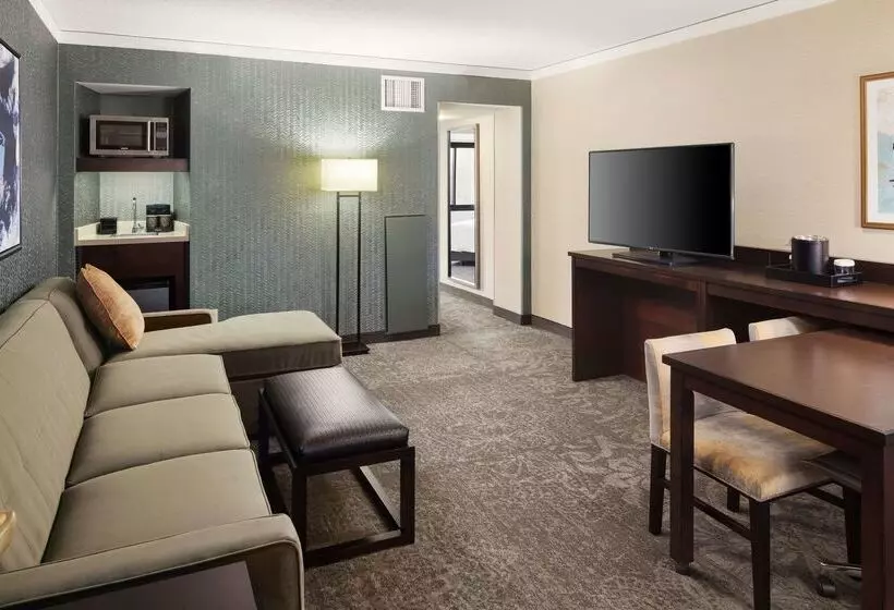 Hotel Embassy Suites By Hilton Tysons Corner