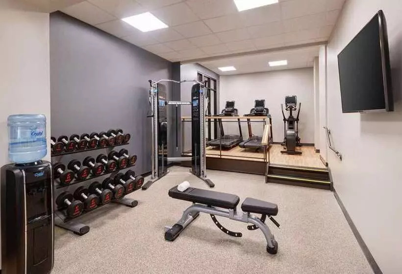 Hotel Embassy Suites By Hilton Tysons Corner