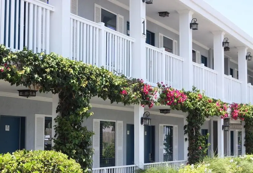 ホテル Quality Inn St Augustine Historic District Area