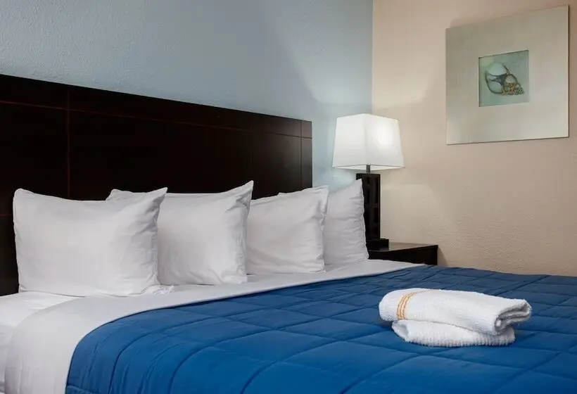 ホテル Quality Inn St Augustine Historic District Area