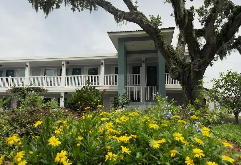 ホテル Quality Inn St Augustine Historic District Area