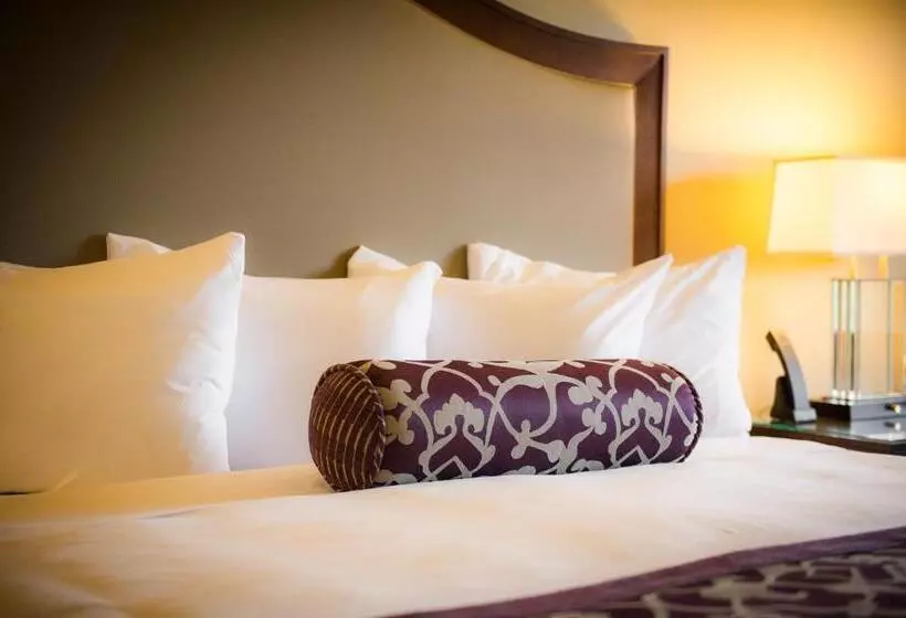 Szálloda The Edgewater