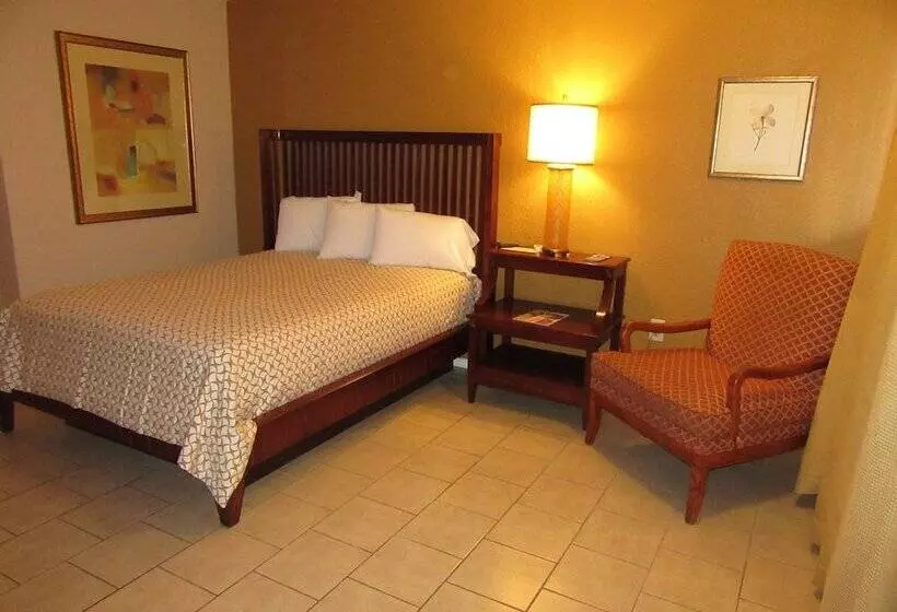 מוטל El Patio Inn