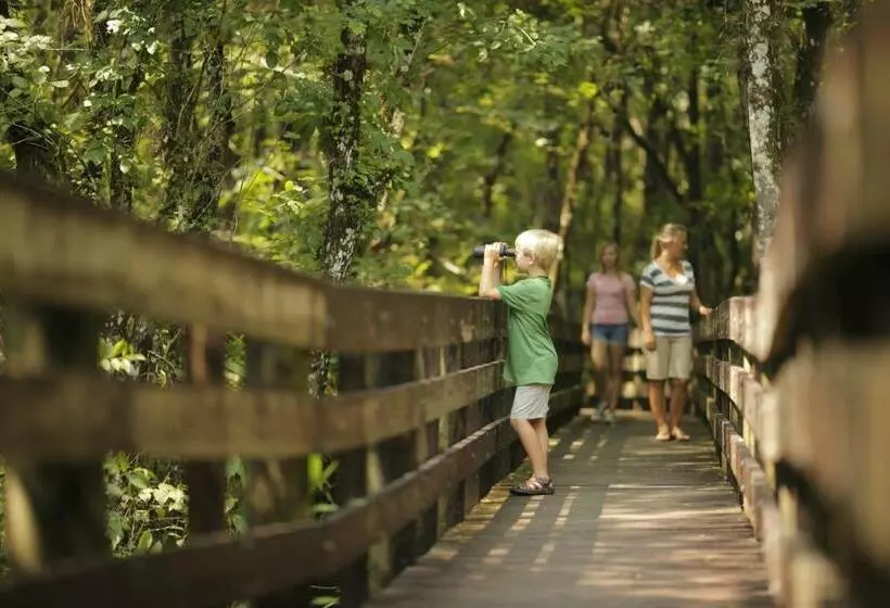 Pierview Hotel & Suites