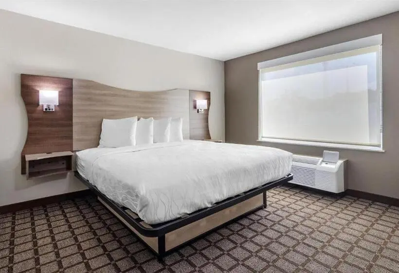 ホテル Best Western Manchester