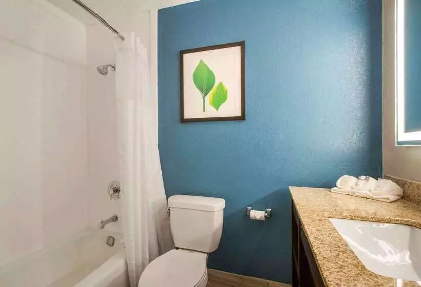 فندق Clarion Inn Asheville Airport