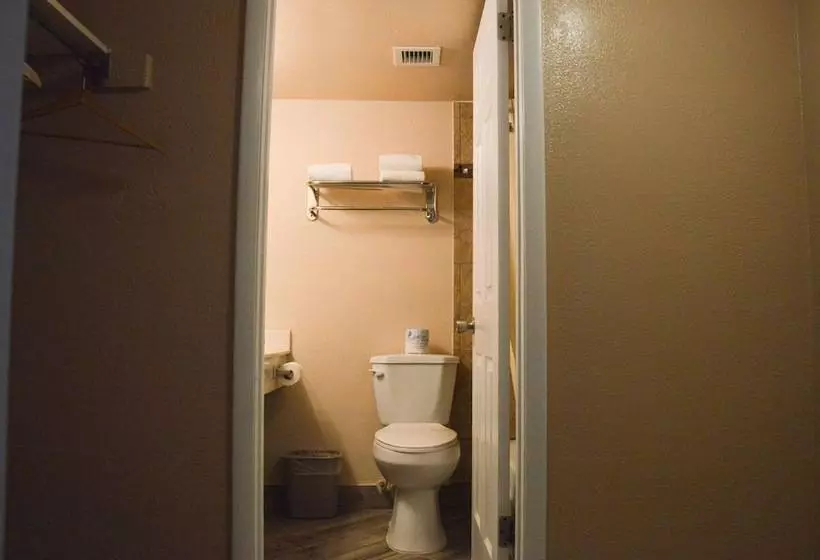 בית מלון כפרי Daytona Beach Hawaiian Inn