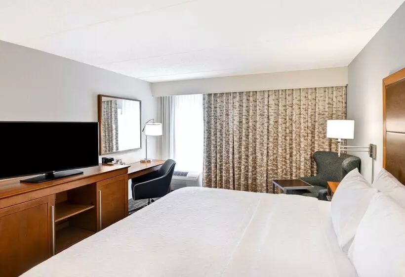 בית מלון כפרי Hampton Inn Albanywolf Road