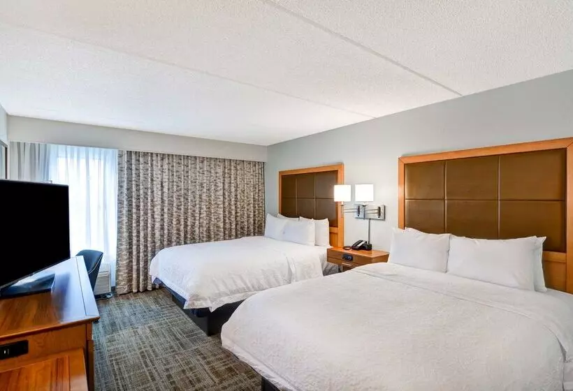 בית מלון כפרי Hampton Inn Albanywolf Road