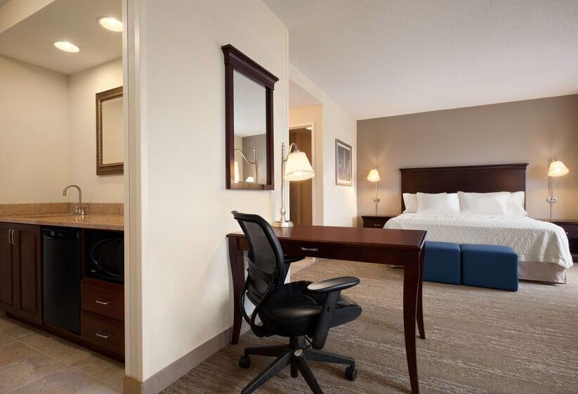 فندق Hampton Inn & Suites Washingtondulles International Airport