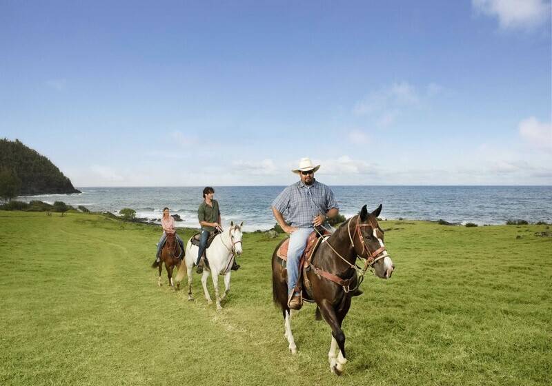 Otel Hana Maui Resort, A Destination By Hyatt Residence