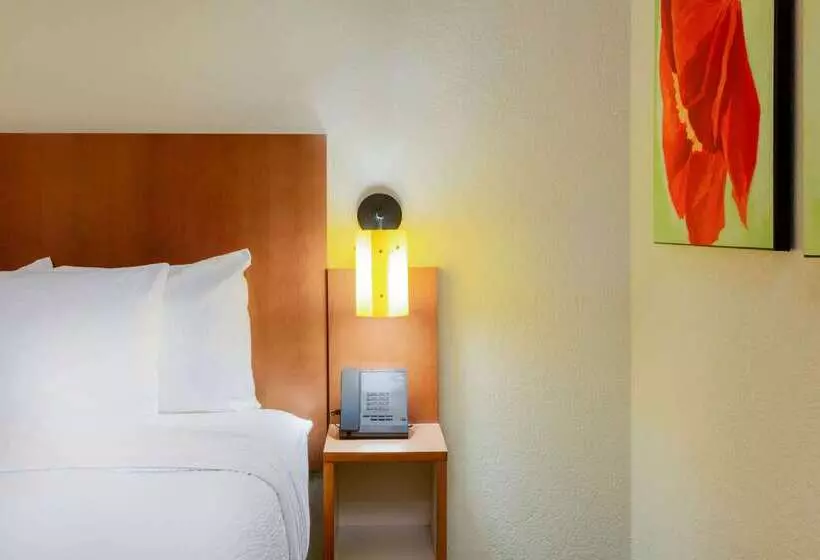 ホテル Clt Airport Inn & Suites