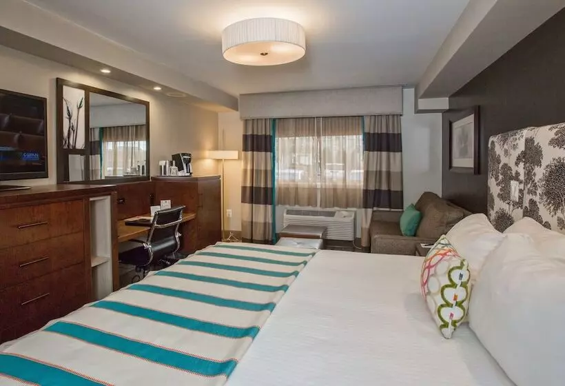 فندق The Kenilworth